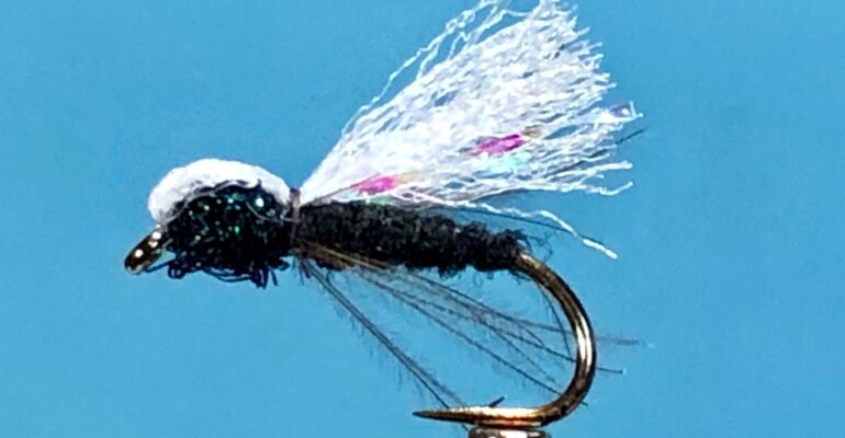 A Fly to Tie and Try May 2021
