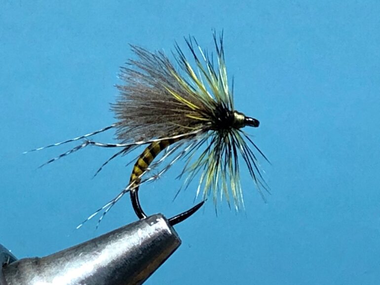 A Fly to Tie and Try this month – August 2021