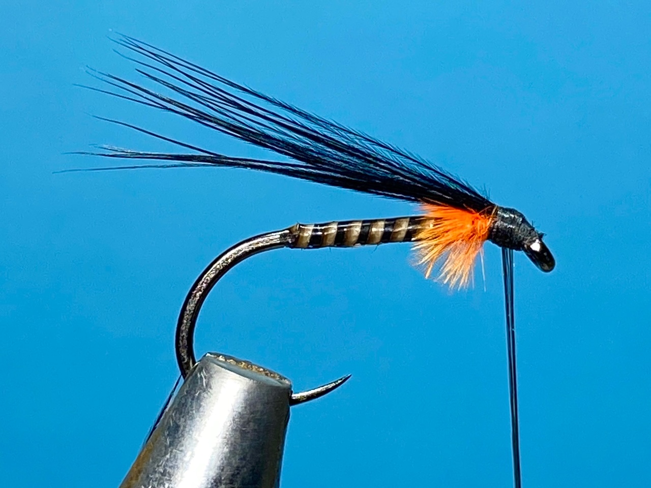 A Fly To Tie And Try In June 2022 By Les Lockey Coldingham Loch Fly 