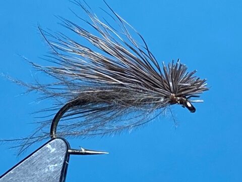 Fly of the month July by Les Lockey
