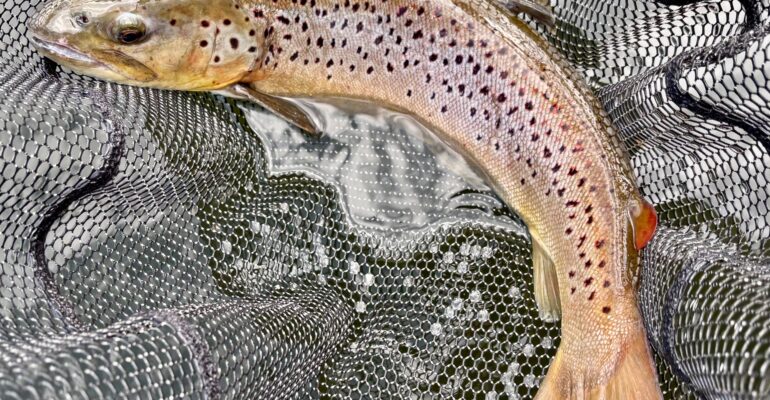 Fishing Report May 2025 by Les Lockey