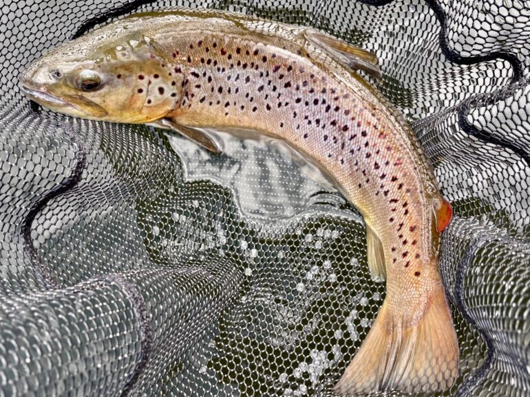 Fishing Report May 2025 by Les Lockey