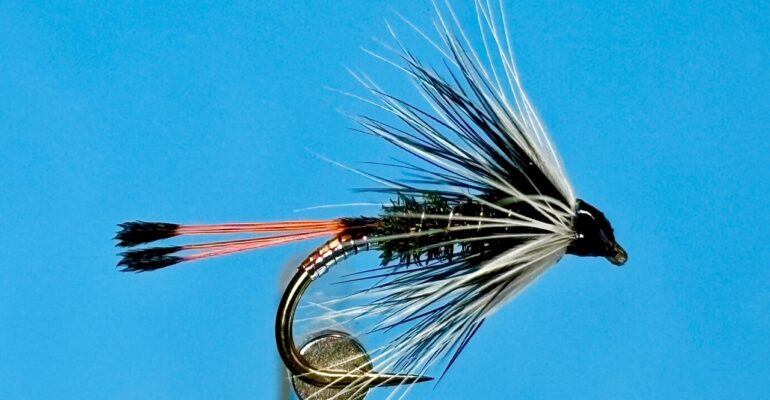 Fly of the Month for September by Les Lockey