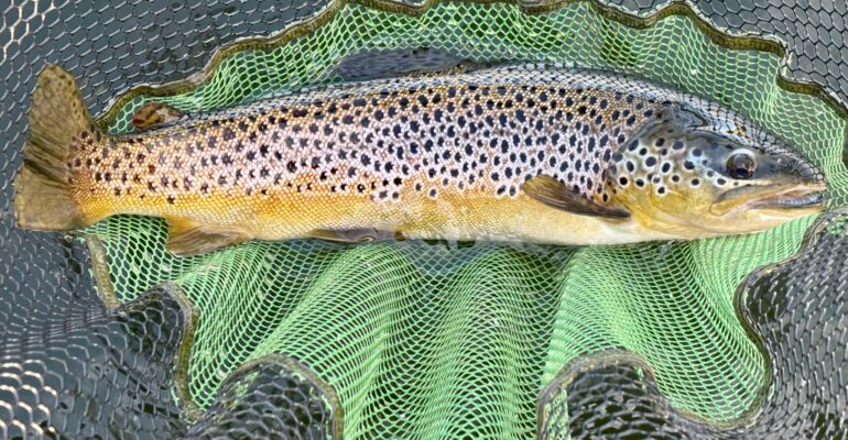 Fishing Report by Les Lockey 28th Sep – 5th Oct