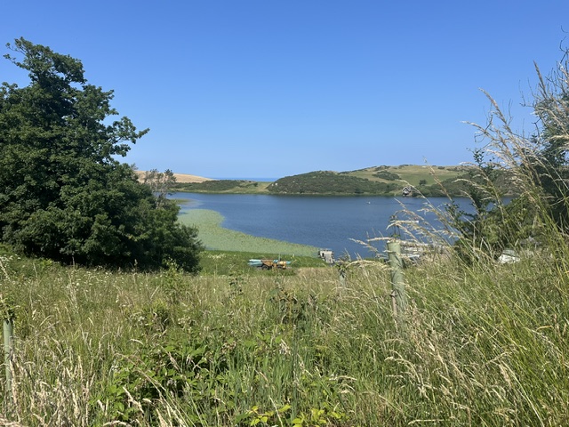 Sunny July