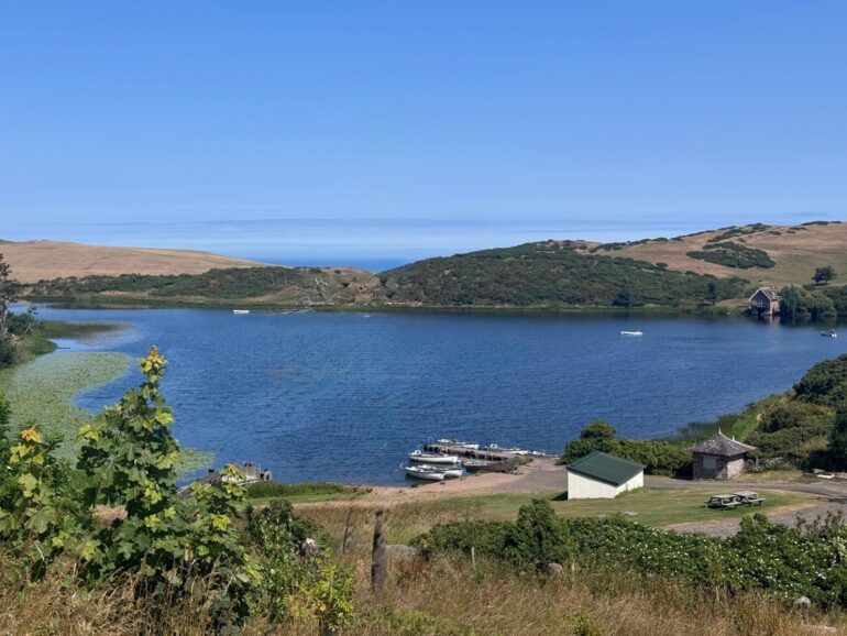 Loch Report Early August 2026