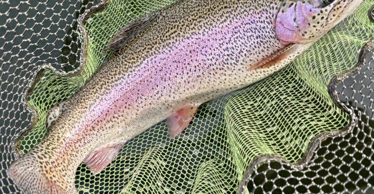 Fishing report early Oct 2026 by Les Lockey