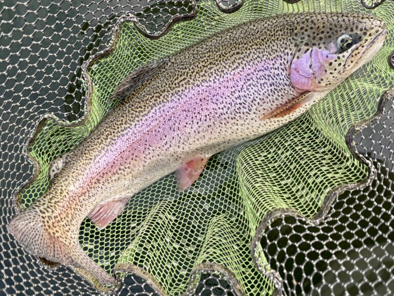 Fishing report early Oct 2026 by Les Lockey